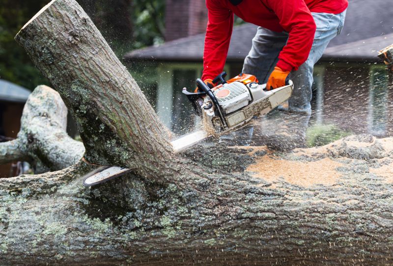 Products For Tree Removals in use